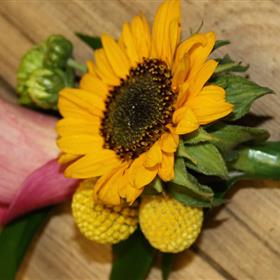 fwthumb10b90618.jpg