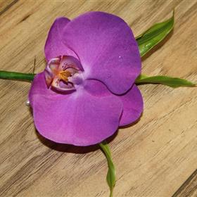 fwthumb241f9457.jpg
