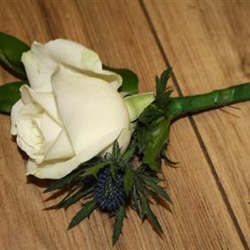 fwthumb9349b146.jpg